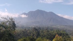 SRI HANDAYANI, S.Kom